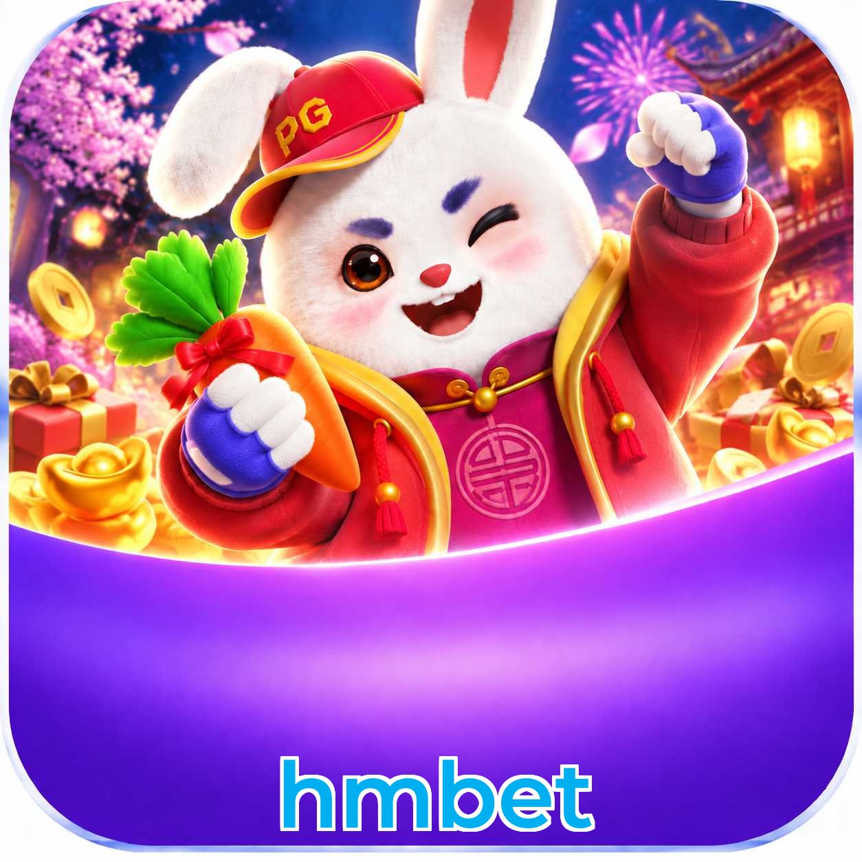hmbet Métodos de Login